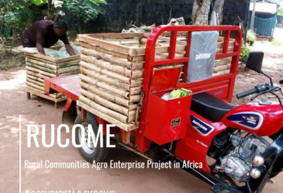 Rural Community Agro Enterprise Project